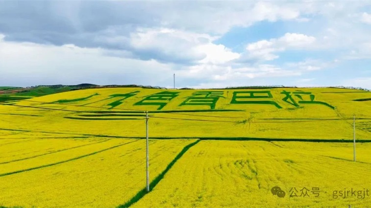 金控甘南擔保助力合作市油菜花海項目  跑出鄉村振興“加速度”